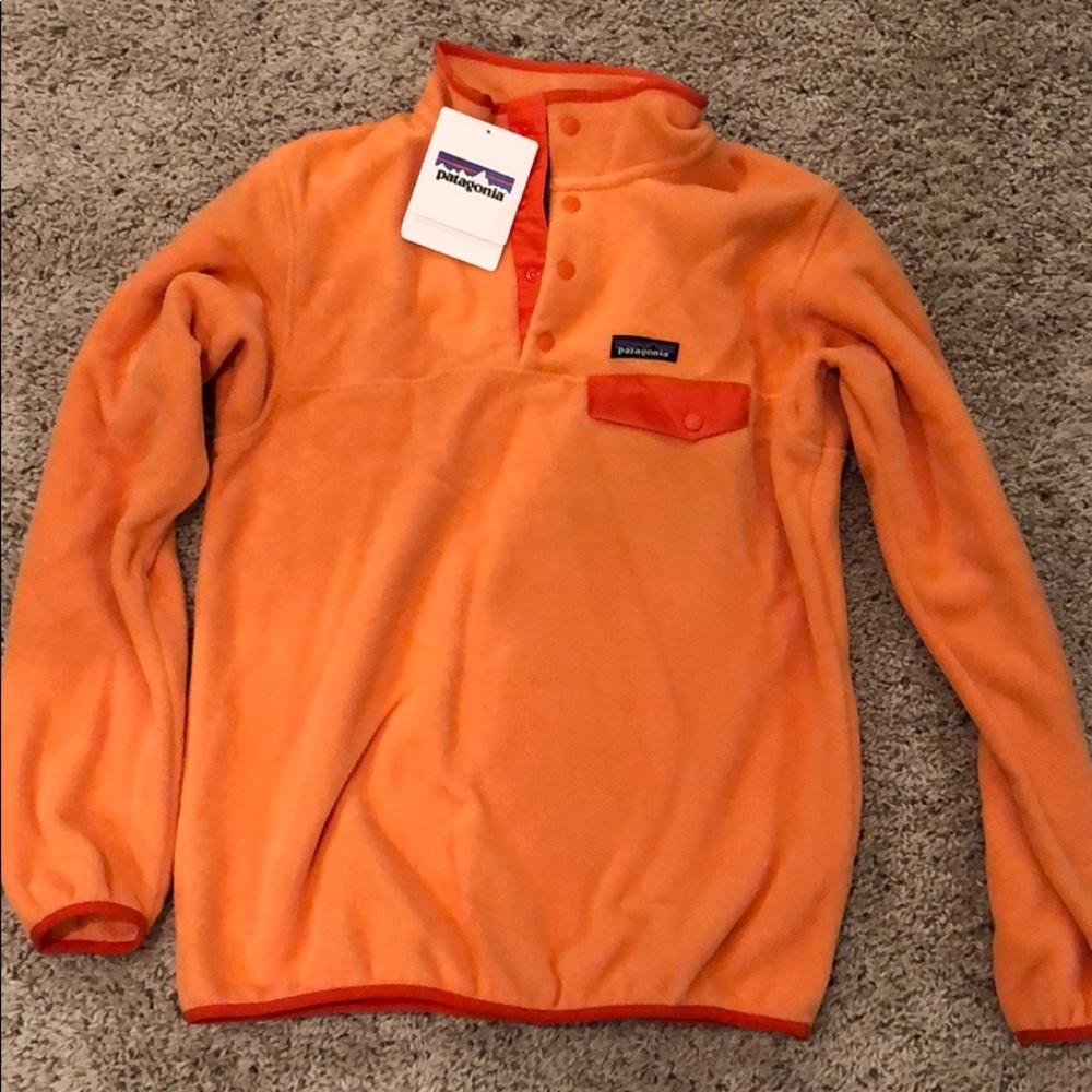 NWT Patagonia Synchilla Snap Fleece